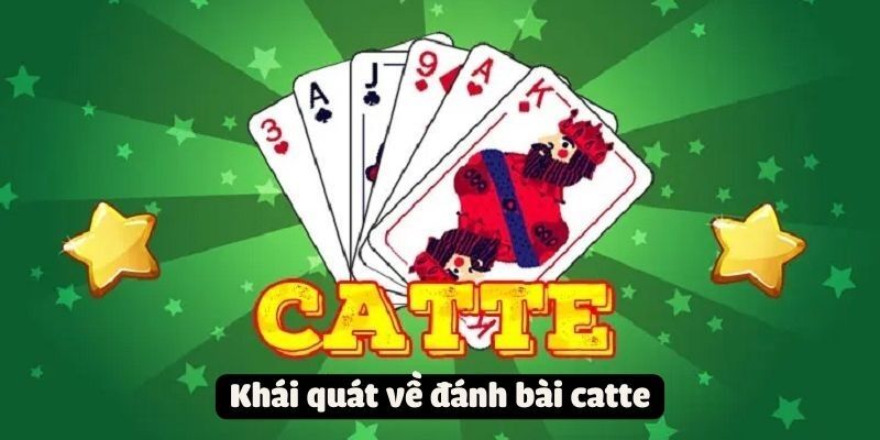 cach-chung-bai-catte-tong-quan-ve-game